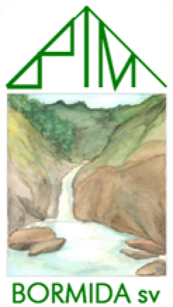 Logo BIM Bormida